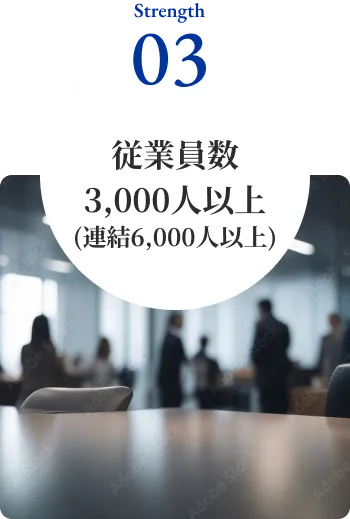 従業員数3000人以上