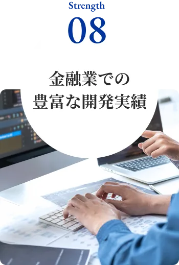 金融業での豊富な開発実績