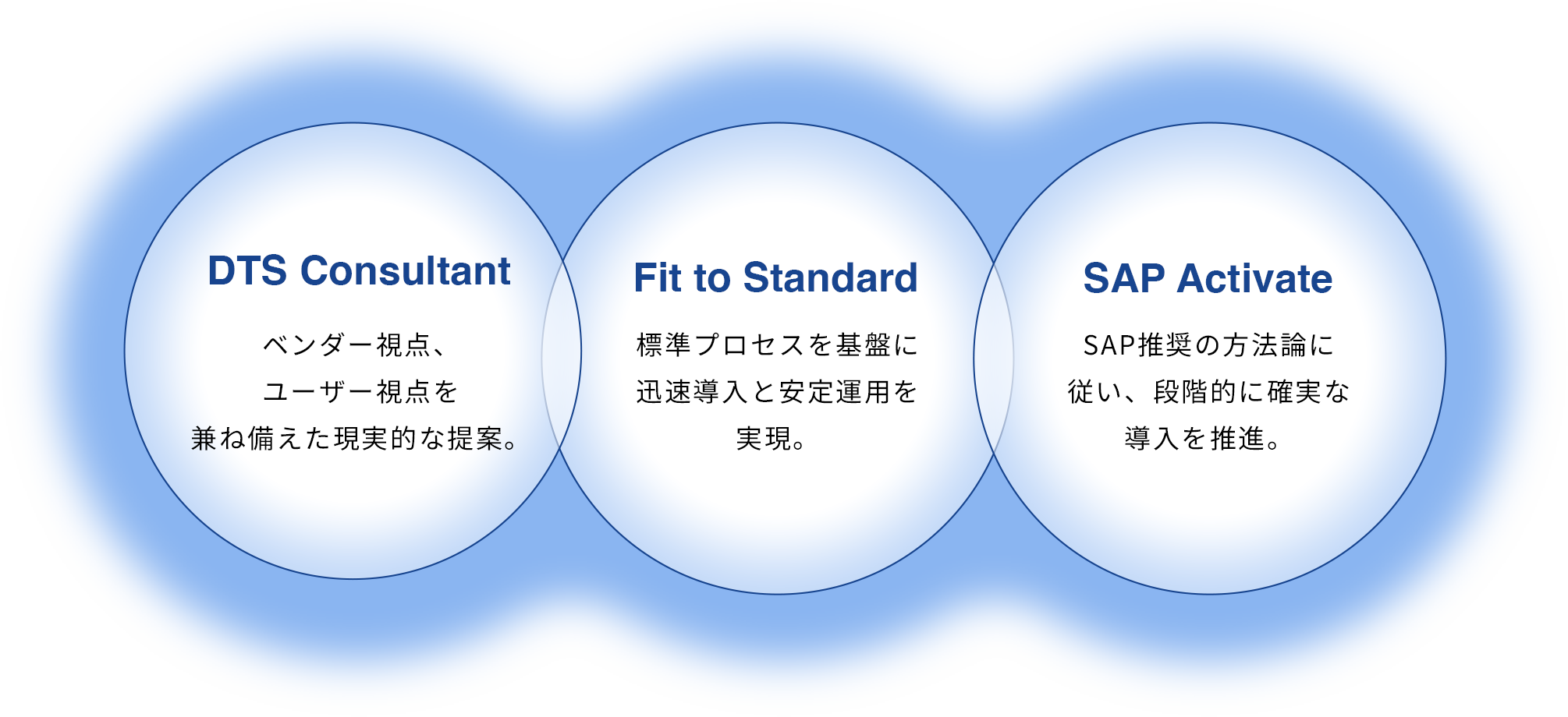 DTS Consultant, Fit to Standard, SAP Activate